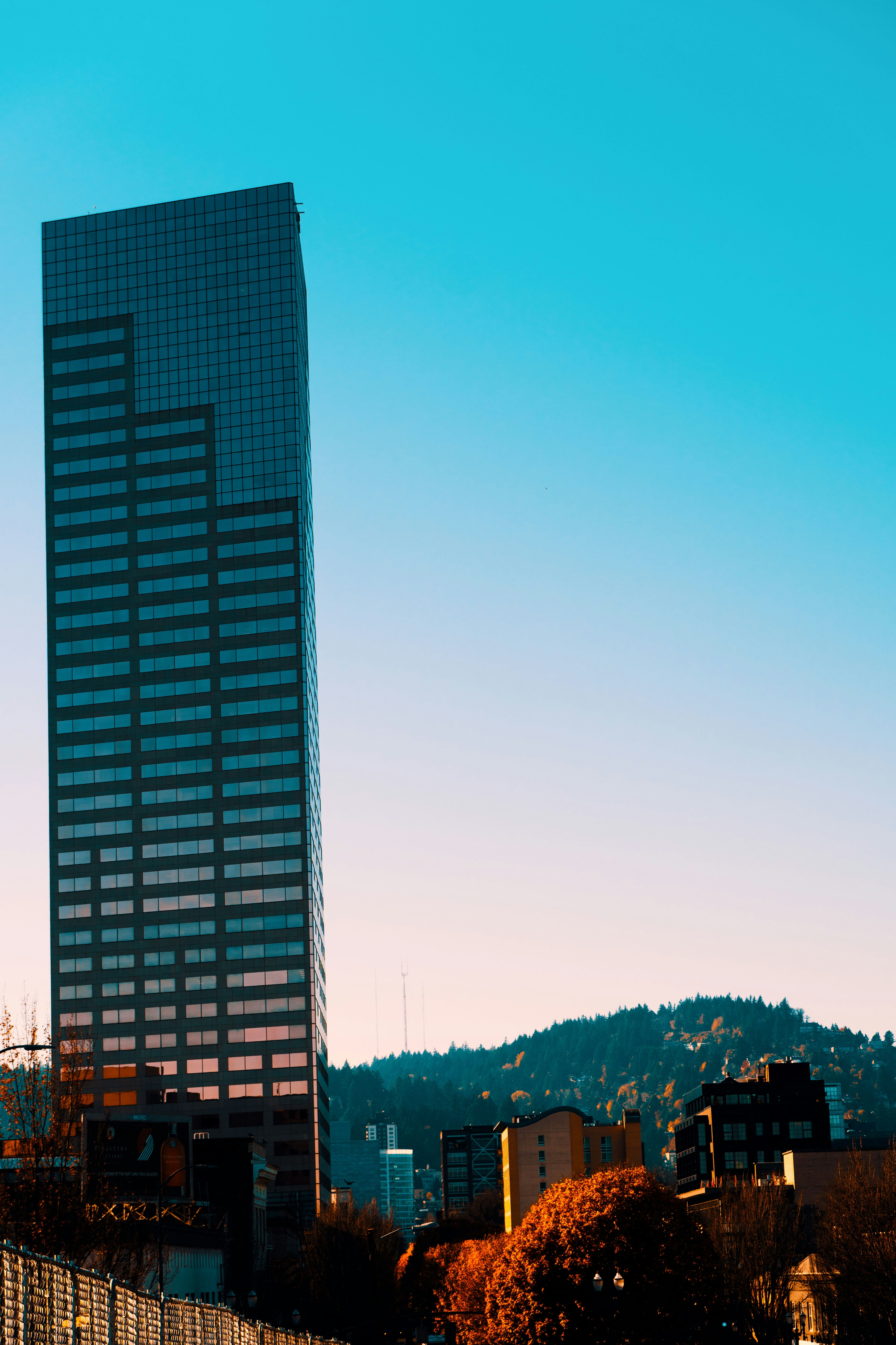 gray high rise building during daytime